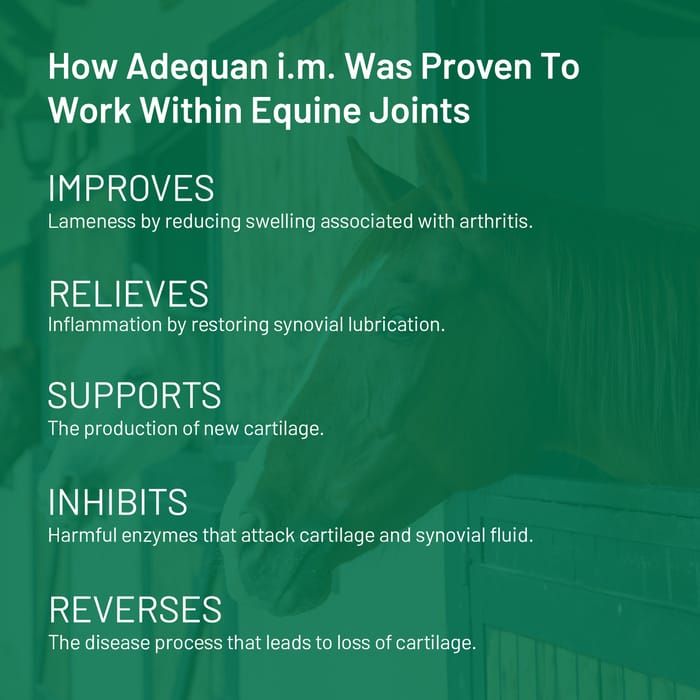 12167 product detail number 1.0