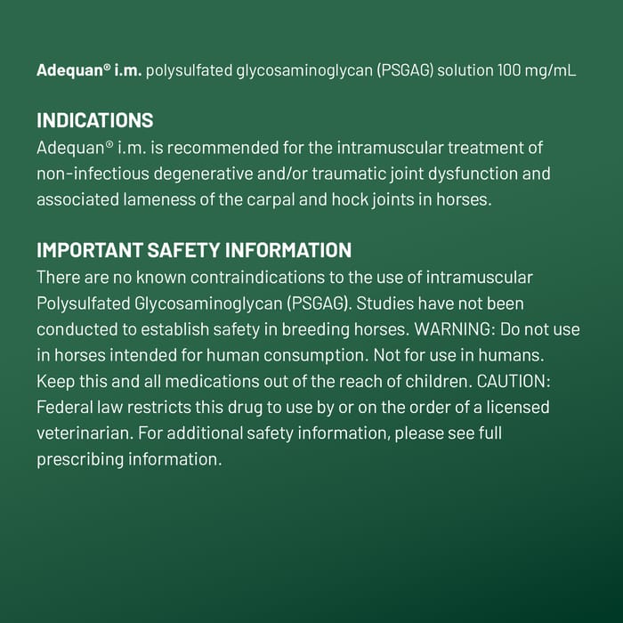 12167 product detail number 1.0