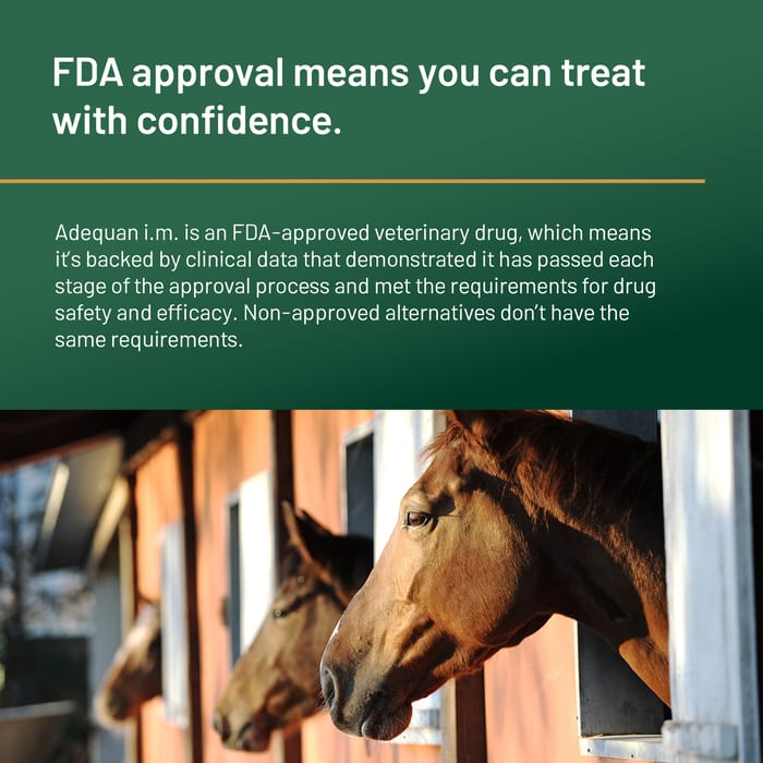 12167 product detail number 1.0