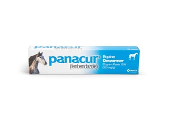 Panacur Paste Equine Dewormer 25 gm 1 pk-product-tile