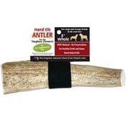 Elk Antlers for Dogs Large 8" Whole Chew