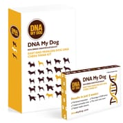 DNA My Dog Breed Identification Test