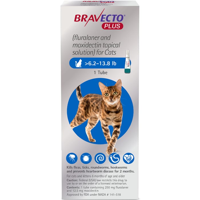 Bravecto Plus 6.2-13.8 lbs 6 pk product detail number 1.0