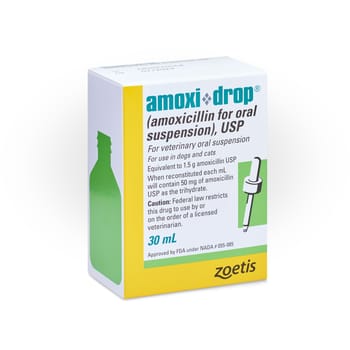 Amoxicillin Drops 50mg/ml 30 ml Bottle-product-tile