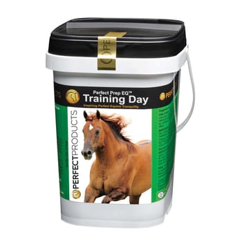Perfect Prep EQ Training Day Powder 5 lb-product-tile