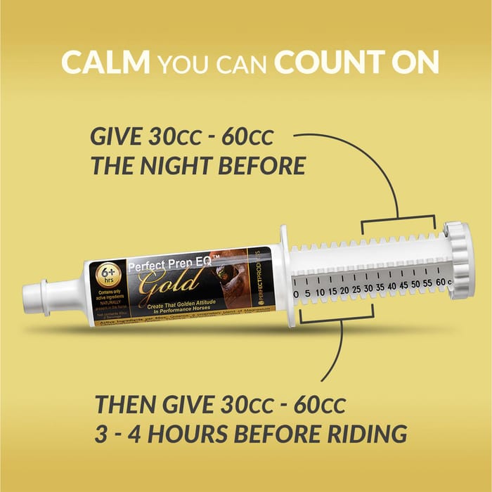 12498 product detail number 1.0