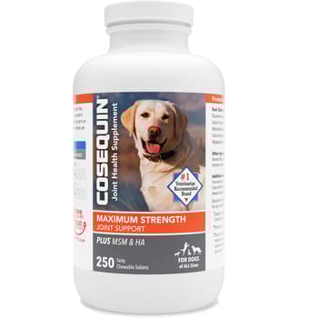 Nutramax Cosequin for Dogs Joint Health Supplement Contains Glucosamine for Dogs Plus Chondroitin and MSM Supports Healthy Joints For All Breeds and Sizes-product-tile