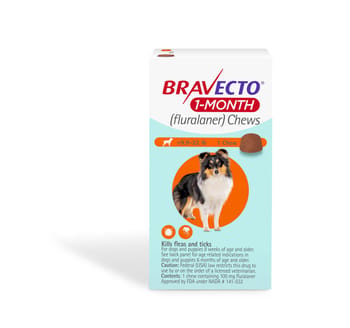 Bravecto 1-Month Chews Small Dog (9.9-22 lbs) 1 pk-product-tile