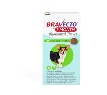 Bravecto 1-Month Chews Medium Dog (22-44 lbs) 1 pk-product-tile