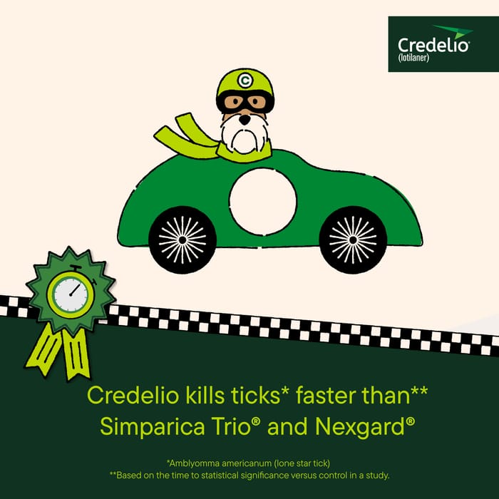 12825 product detail number 1.0