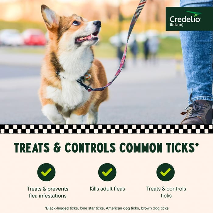 12827 product detail number 1.0