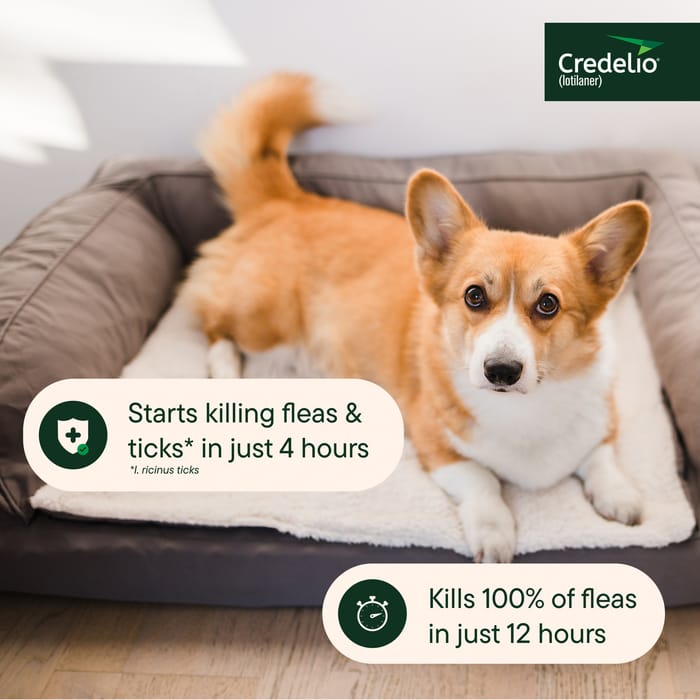 12827 product detail number 1.0