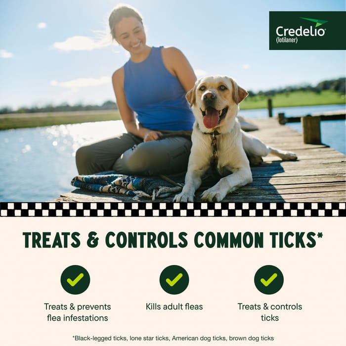 12829 product detail number 1.0