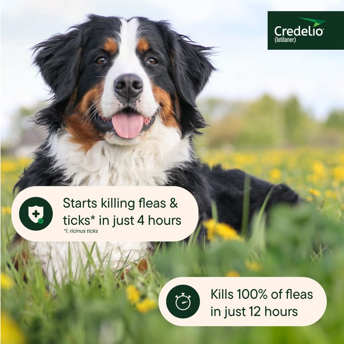 12829 product detail number 1.0