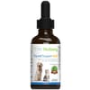 Pet Wellbeing Thyroid Support Gold for Cats 2oz