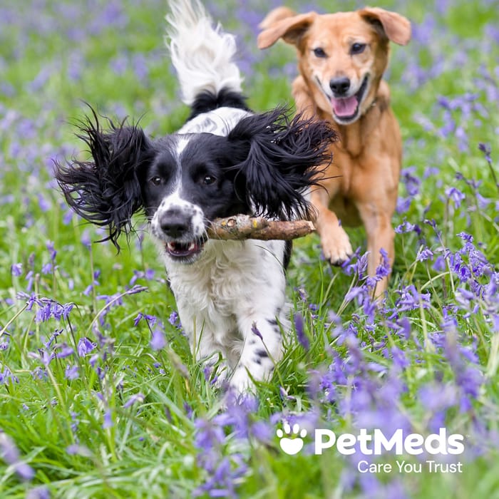 12863 product detail number 1.0