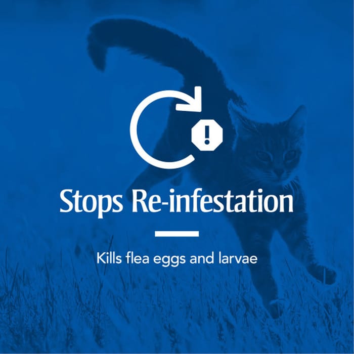 12899 product detail number 1.0