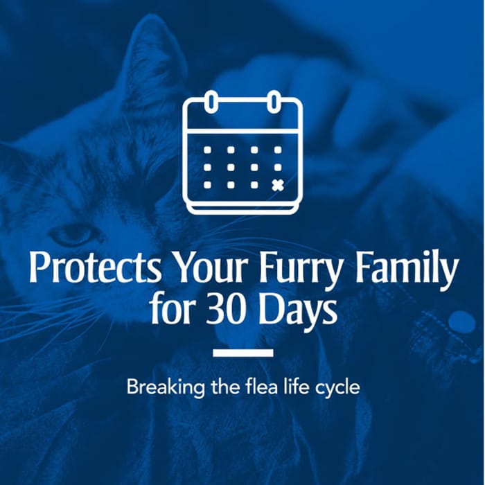 12899 product detail number 1.0