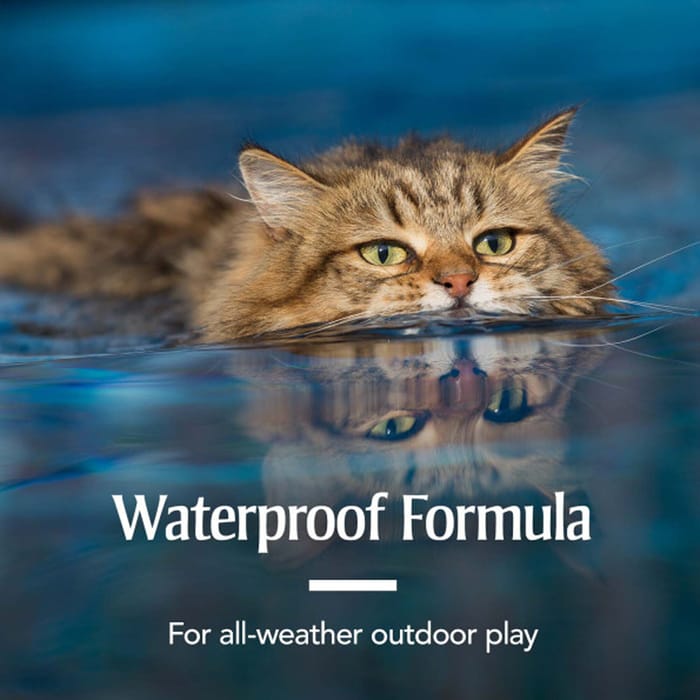 12899 product detail number 1.0