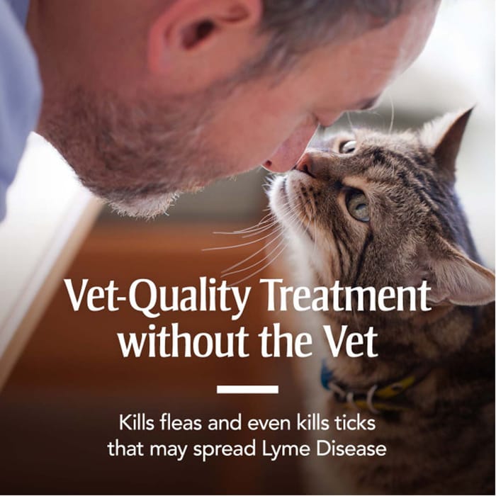 12899 product detail number 1.0