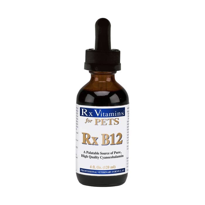 Rx Vitamins Rx B12 Dog & Cat Supplement 4oz product detail number 1.0