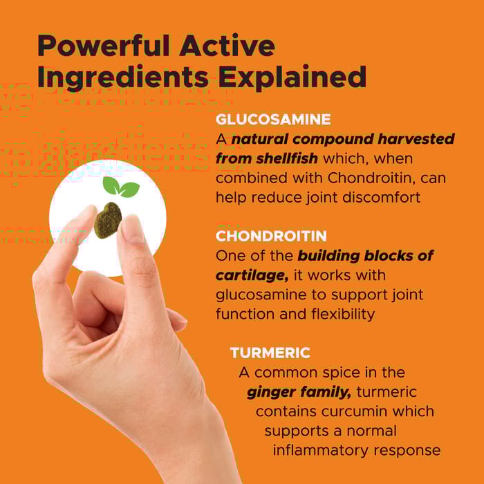 13003 product detail number 1.0