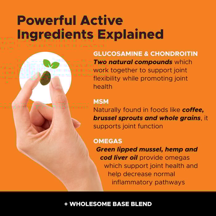 13005 product detail number 1.0