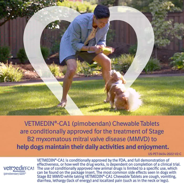 13012 product detail number 1.0