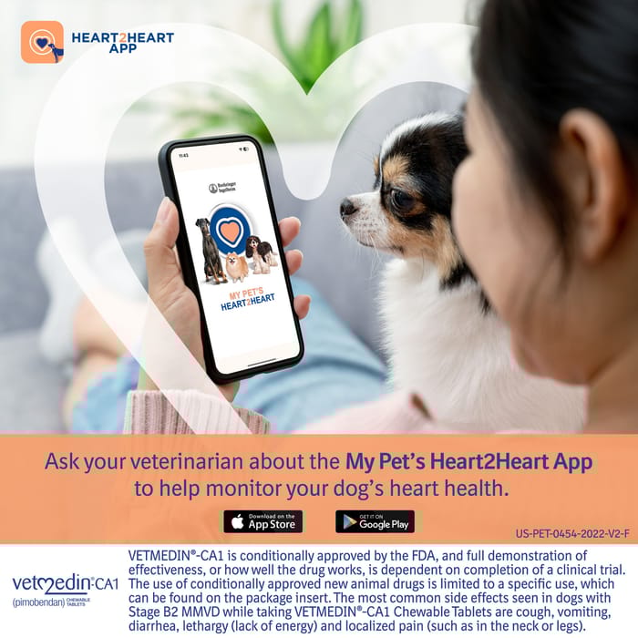 13012 product detail number 1.0