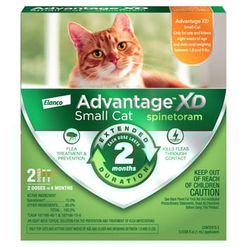 Advantage XD Small Cat, 2-pk-product-tile