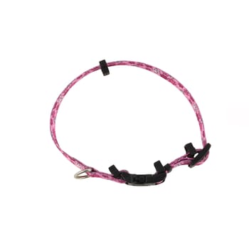 SecureAway Flea Collar Protectors Multi Paws Small - 5/8" x 10"-14"-product-tile