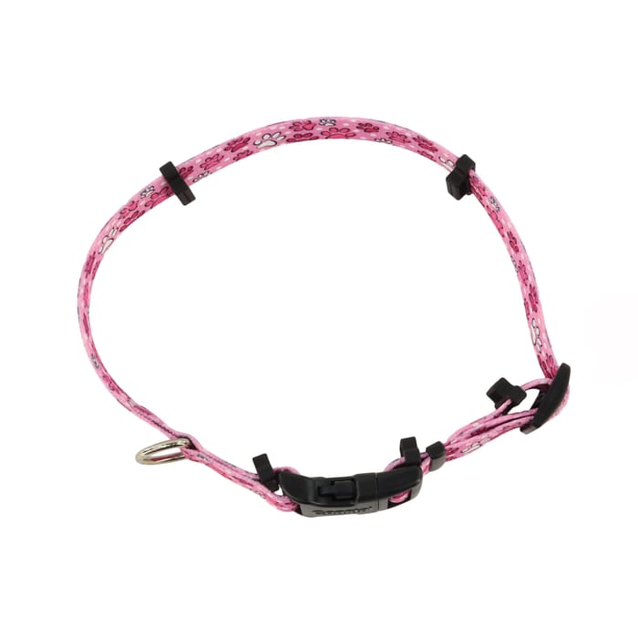 SecureAway Flea Collar Protectors Multi Paws Large - 1" x 18"-26" product detail number 1.0