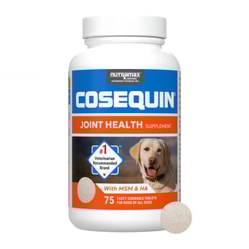 Nutramax Cosequin for Dogs Joint Health Supplement Contains Glucosamine for Dogs Plus Chondroitin MSM and HA Supports Healthy Joints For All Breeds and Sizes 75 Chewable Tablets-product-tile