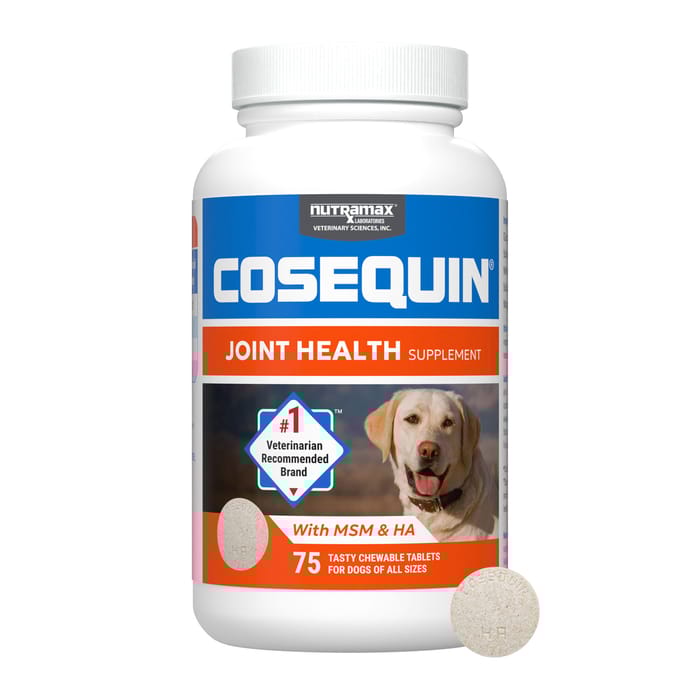 Nutramax Cosequin for Dogs Joint Health Supplement Contains Glucosamine for Dogs Plus Chondroitin MSM and HA Supports Healthy Joints For All Breeds and Sizes 75 Chewable Tablets product detail number 1.0