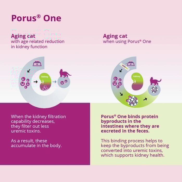 13234 product detail number 1.0