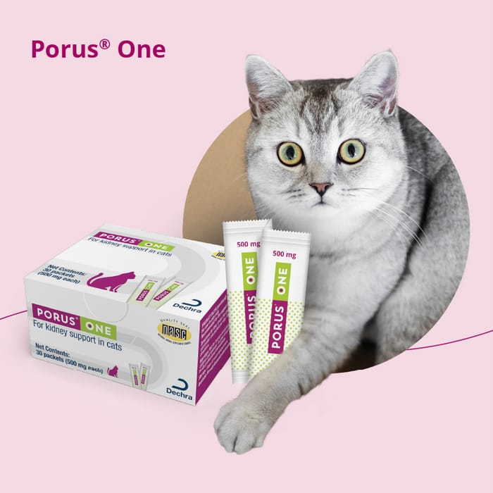 13234 product detail number 1.0