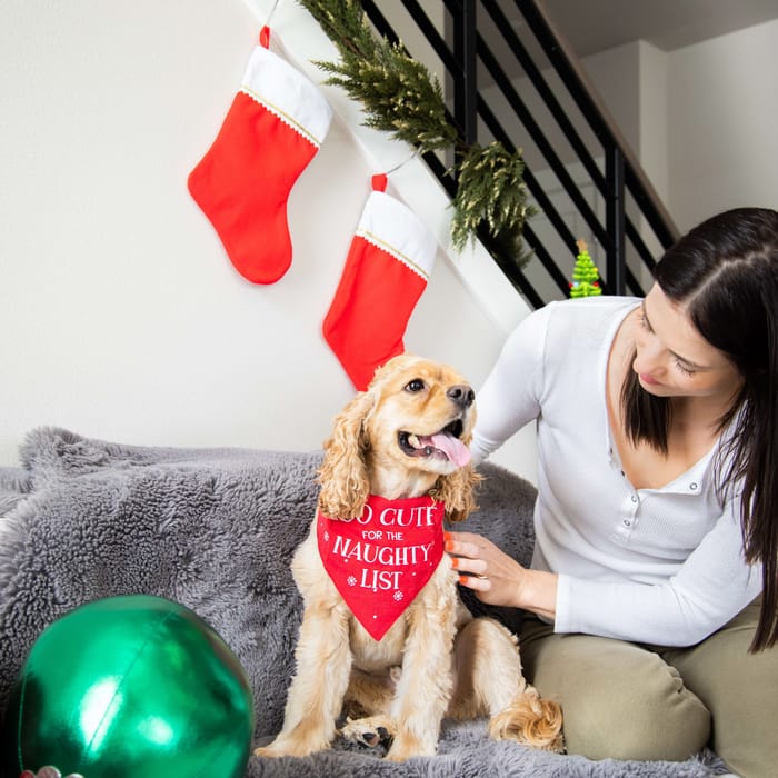 13241 product detail number 1.0