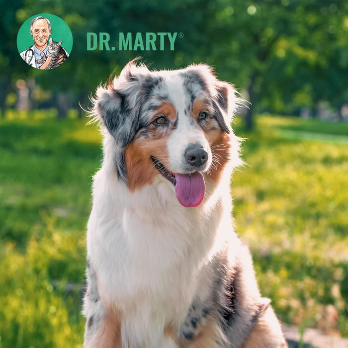 13248 product detail number 1.0