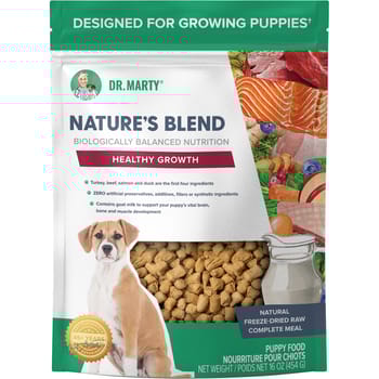 Dr. Marty Nature's Blend Healthy Growth Premium Freeze-Dried Raw Puppy Food 16 oz Bag-product-tile