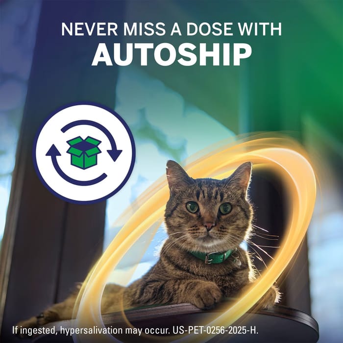 13302 product detail number 1.0