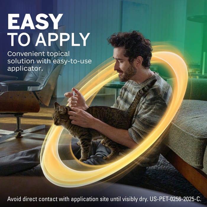 13306 product detail number 1.0