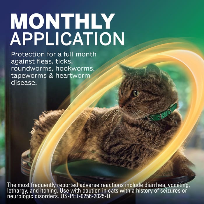 13306 product detail number 1.0