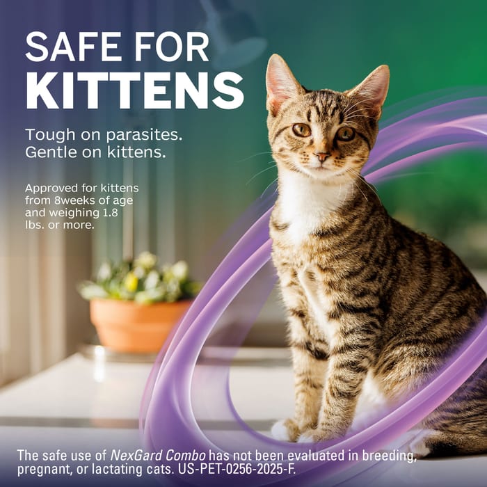 13306 product detail number 1.0