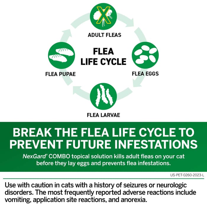 13306 product detail number 1.0