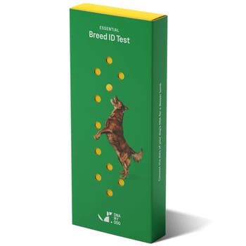 DNA My Dog Essential Breed ID Test-product-tile
