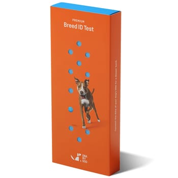 DNA My Dog Premium Breed ID Test-product-tile
