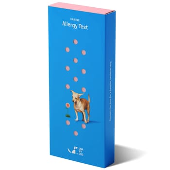 DNA My Dog Allergy Test-product-tile