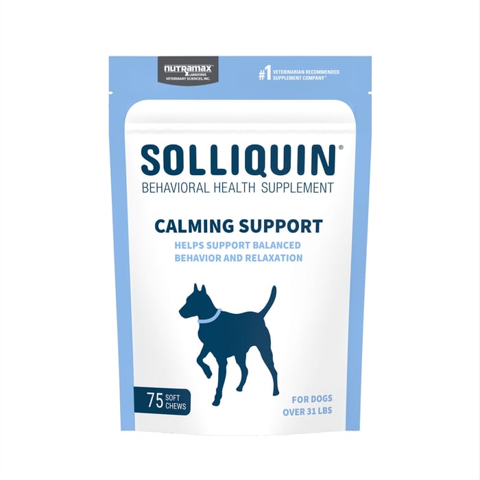 Nutramax Solliquin Calming Behavioral Health Supplement - With L-Theanine, Magnolia / Phellodendron, and Whey Protein Concentrate Large Dogs, 75 Soft Chews product detail number 1.0