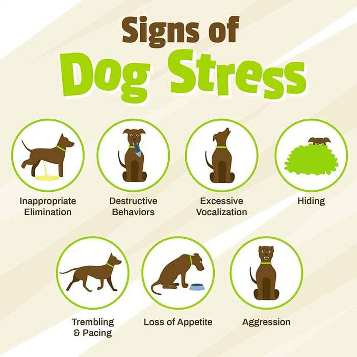 13376 product detail number 1.0