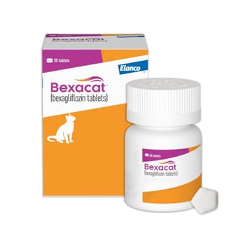 Bexacat (bexagliflozin tablets) Diabetes Mellitus Treatment for Cats 6.6 lbs & Over 15 mg Tablet - 30 ct-product-tile